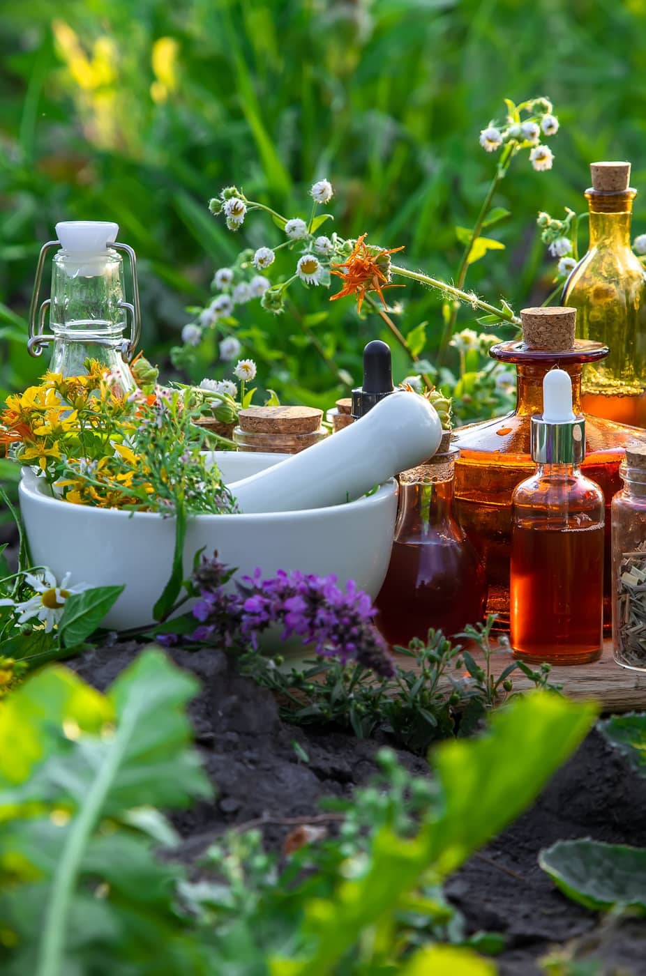 Fresh herbs and essential oils
